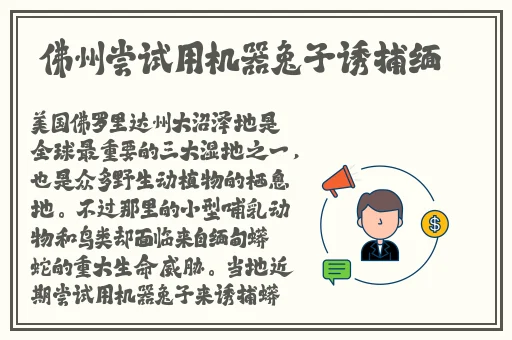 国产全部视频列表支持手机